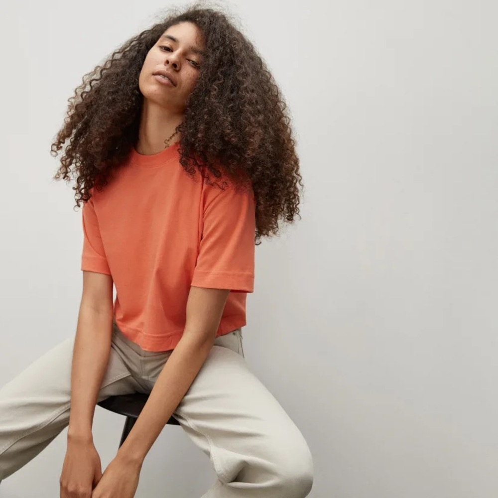 Everlane organic cotton cropped tee
